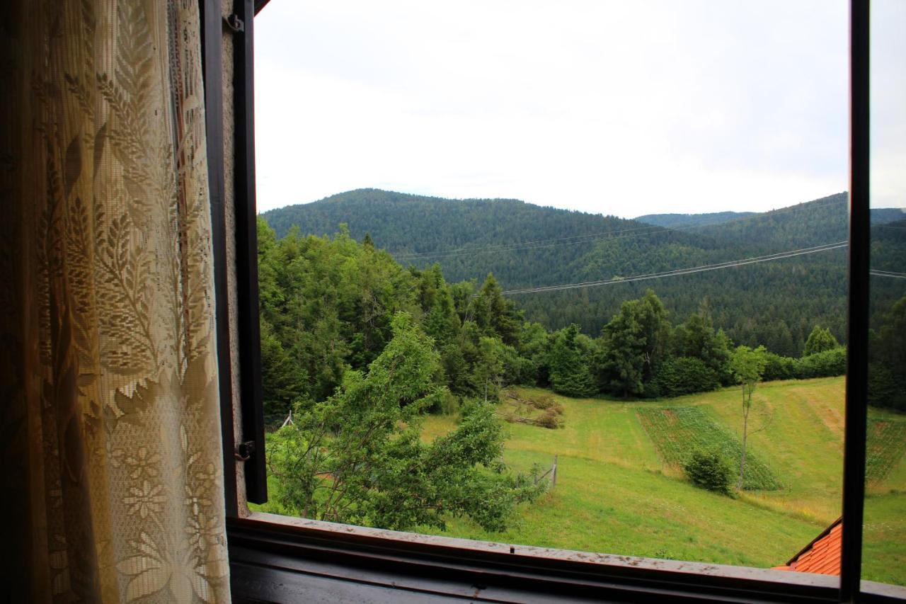 Kuca Za Odmor Cicki Vrh Villa Brestova Draga Exterior photo